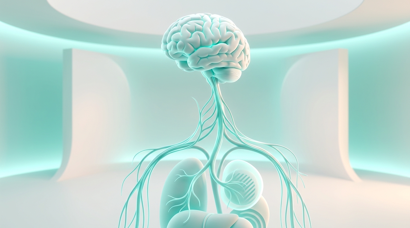 6 Science-Backed Ways to Stimulate Your Vagus Nerve for Better Brain Health